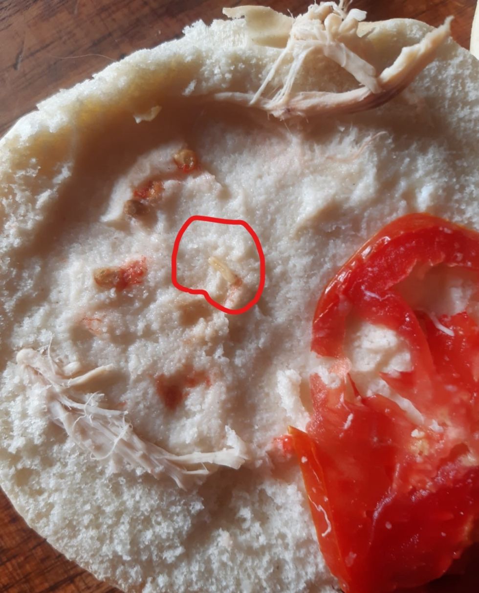 Un gusano en el sádwich