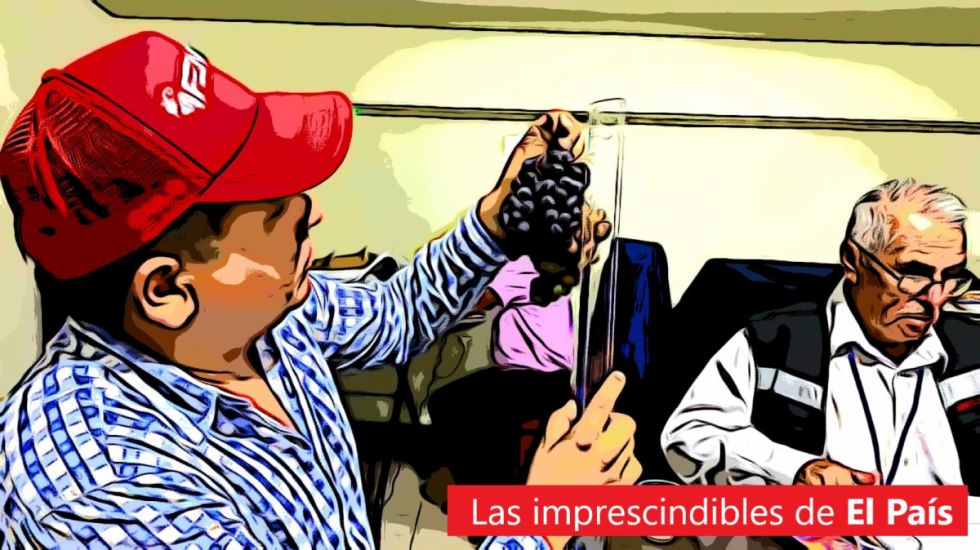 Lee las 5 imprescindibles de este viernes de la uva