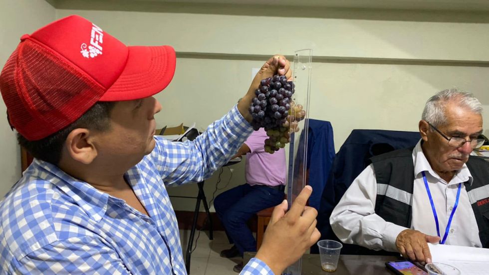 El Encuentro en Viña reunirá a unos 30 productores del valle central de Tarija 