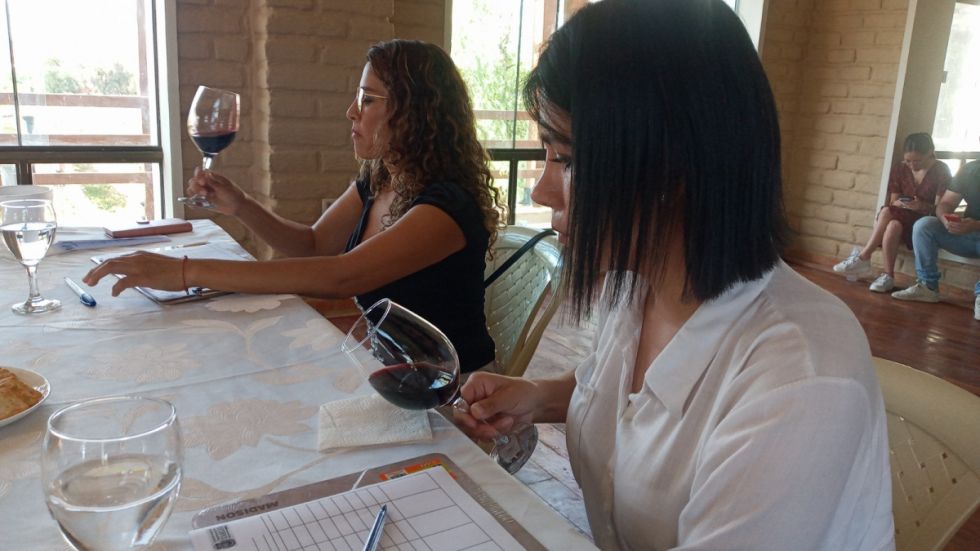 Enólogos destacan la calidad y el sabor de los vinos de Tarija