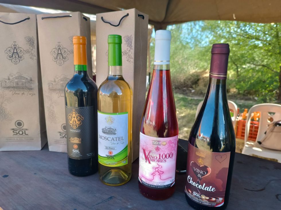 Nuevos vinos y singanis surgieron por la crisis y el desempleo en Tarija