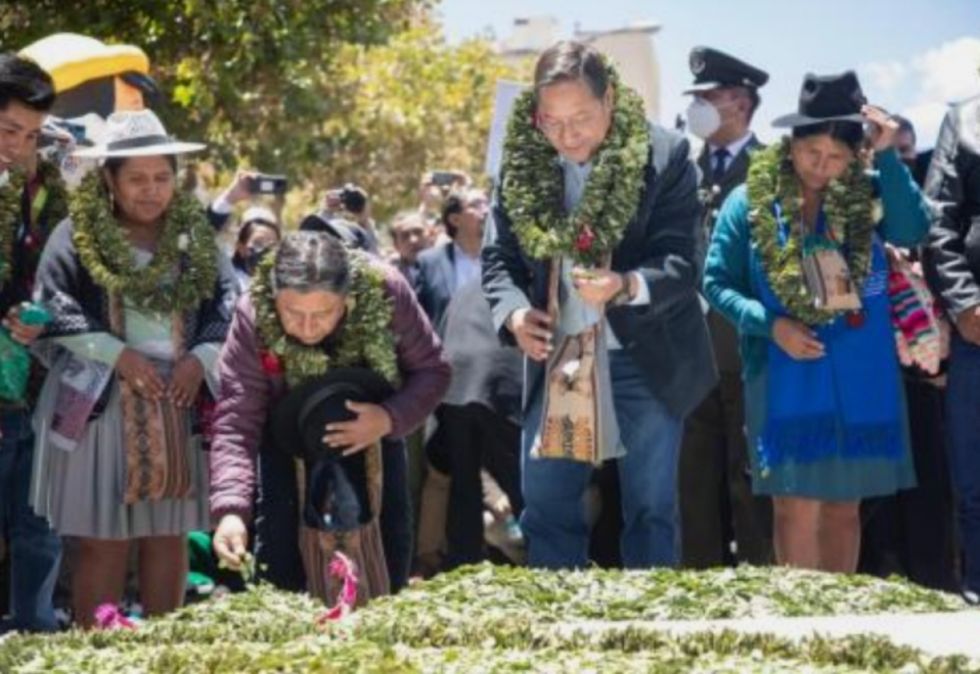 Bolivia inicia las gestiones para la desclasificación de la coca de la lista de estupefacientes