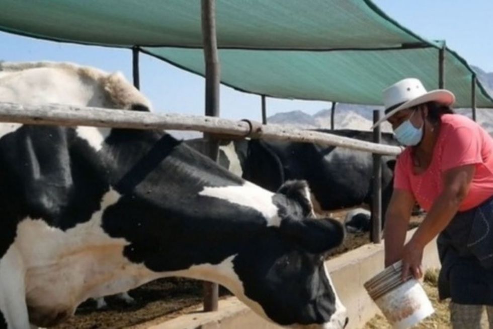 Ganaderos de Tarija anuncian bloqueos desde la próxima semana