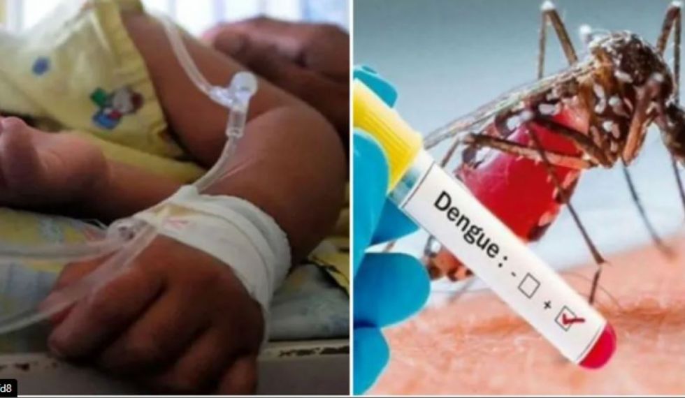 Dengue: Un niño de 3 años falleció en una clínica privada de Yacuiba