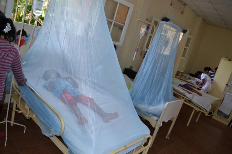 Dengue: El Sedes admite que hubo descuido en Yacuiba