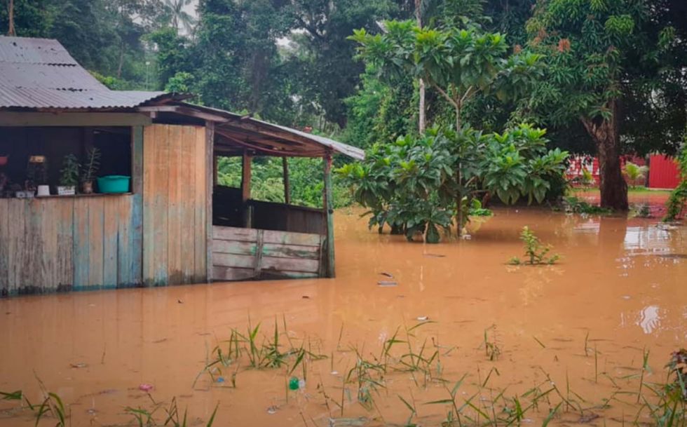 Cobija se declara en alerta roja ante crecida y desborde del río Acre, hay 40 familias evacuadas