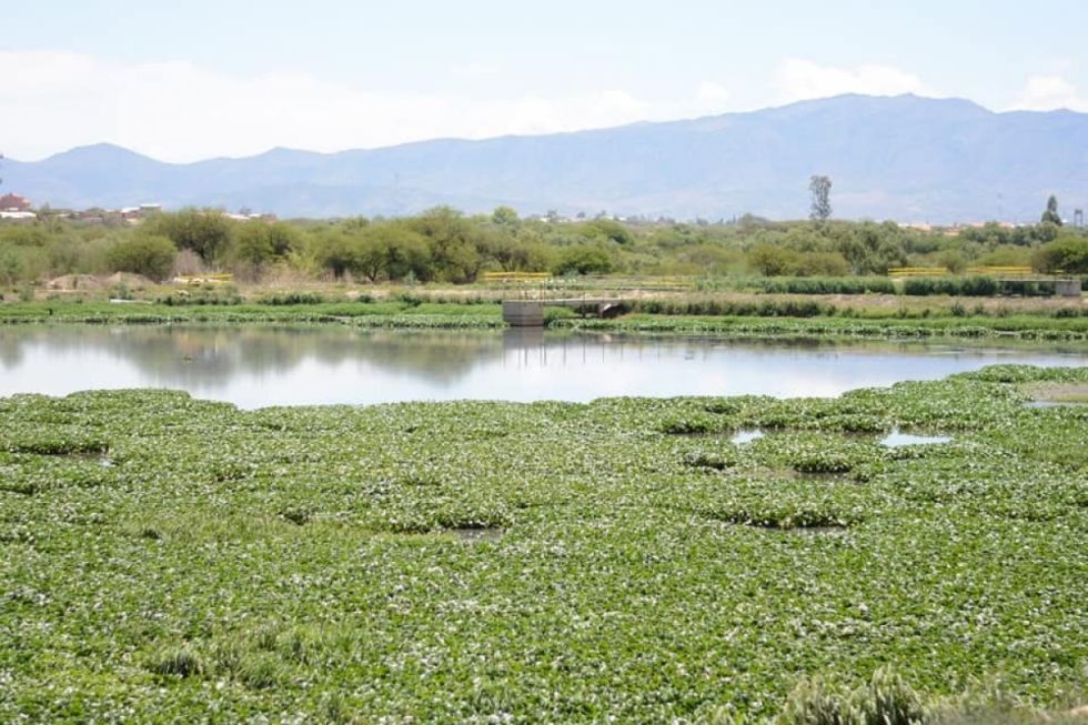 Tarija: Crece la presión para que el Gobierno se haga cargo de la PTAR