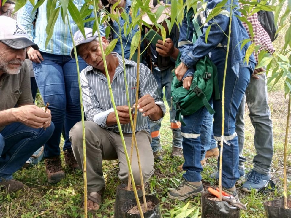 El Pertt conmemorará 45 años con un recorrido por sus instalaciones 
