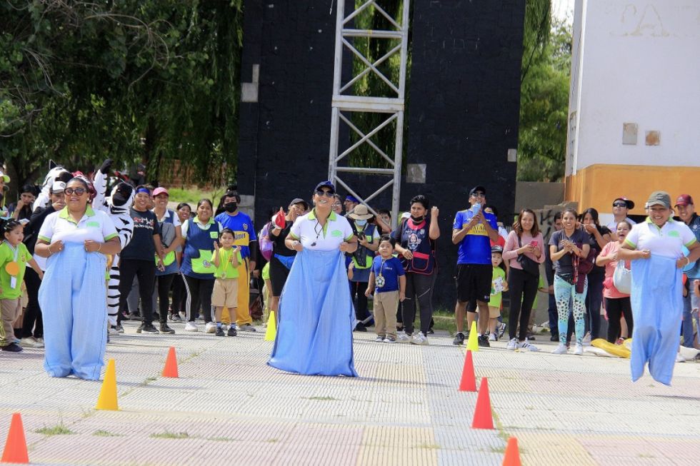 Carreras de embolsados.