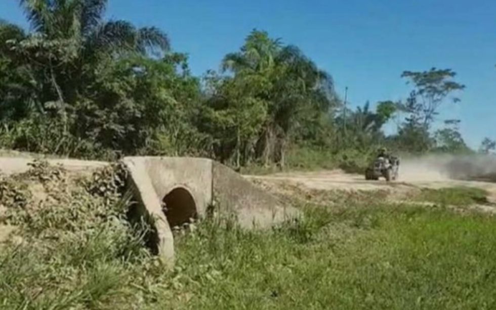 CIDH observa: avance de la carretera por el TIPNIS no cumple estándares interamericanos