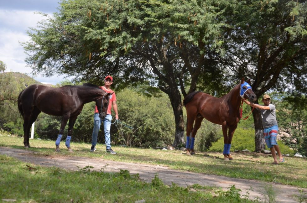 La Gobernación impulsa actividades culturales y tradicionales por el 15 de abril 