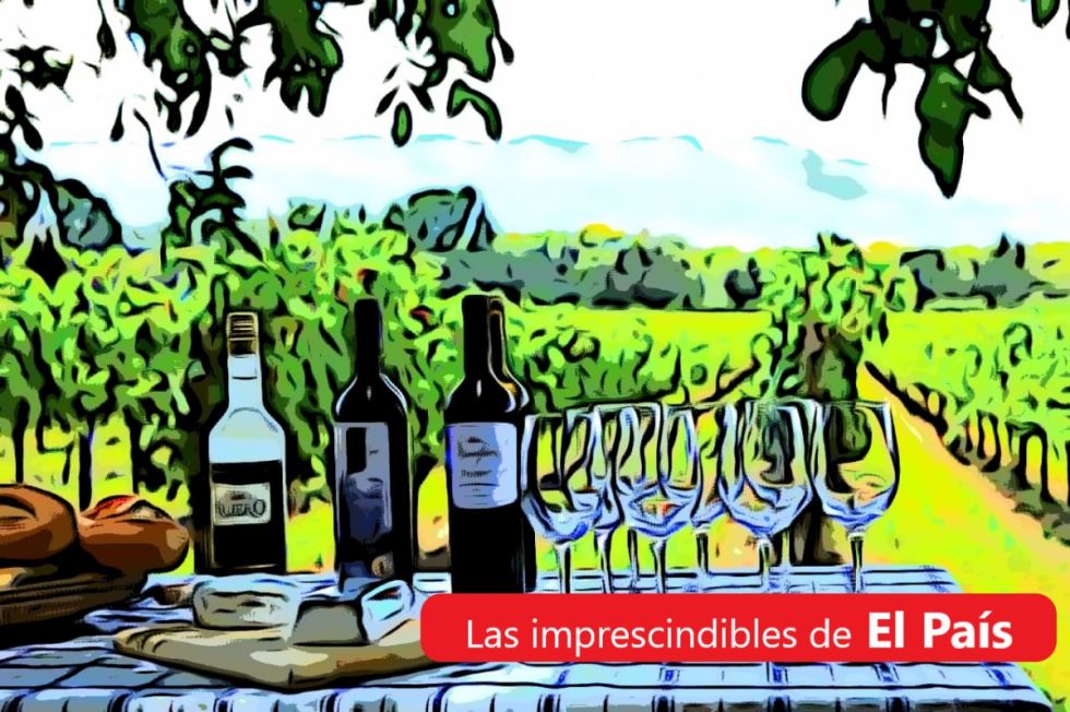El vino, la poli, el salario mínimo... Lee las 5 imprescindibles de este viernes 21 de abril