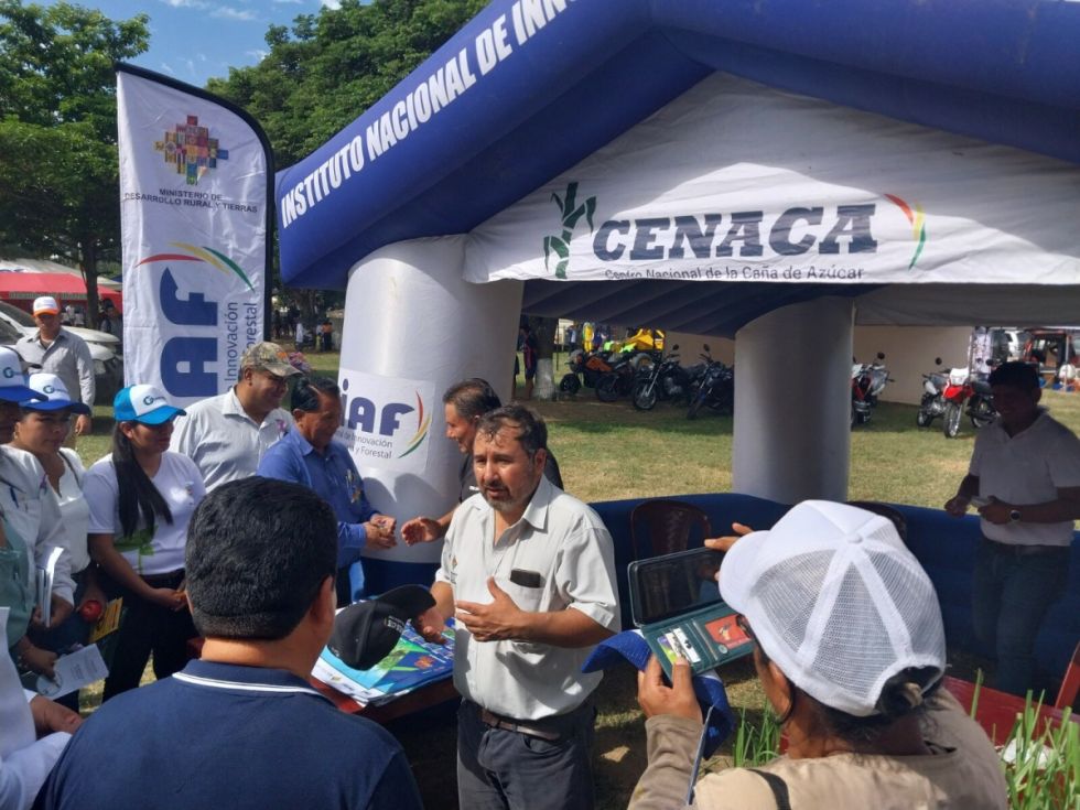 CENACA muestra avances en variedad de caña de azúcar en XVIII Feria de la semilla