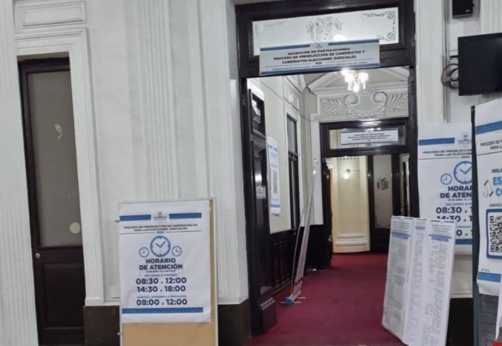 Comicios judiciales: ALP preseleccionará a 96 candidatos