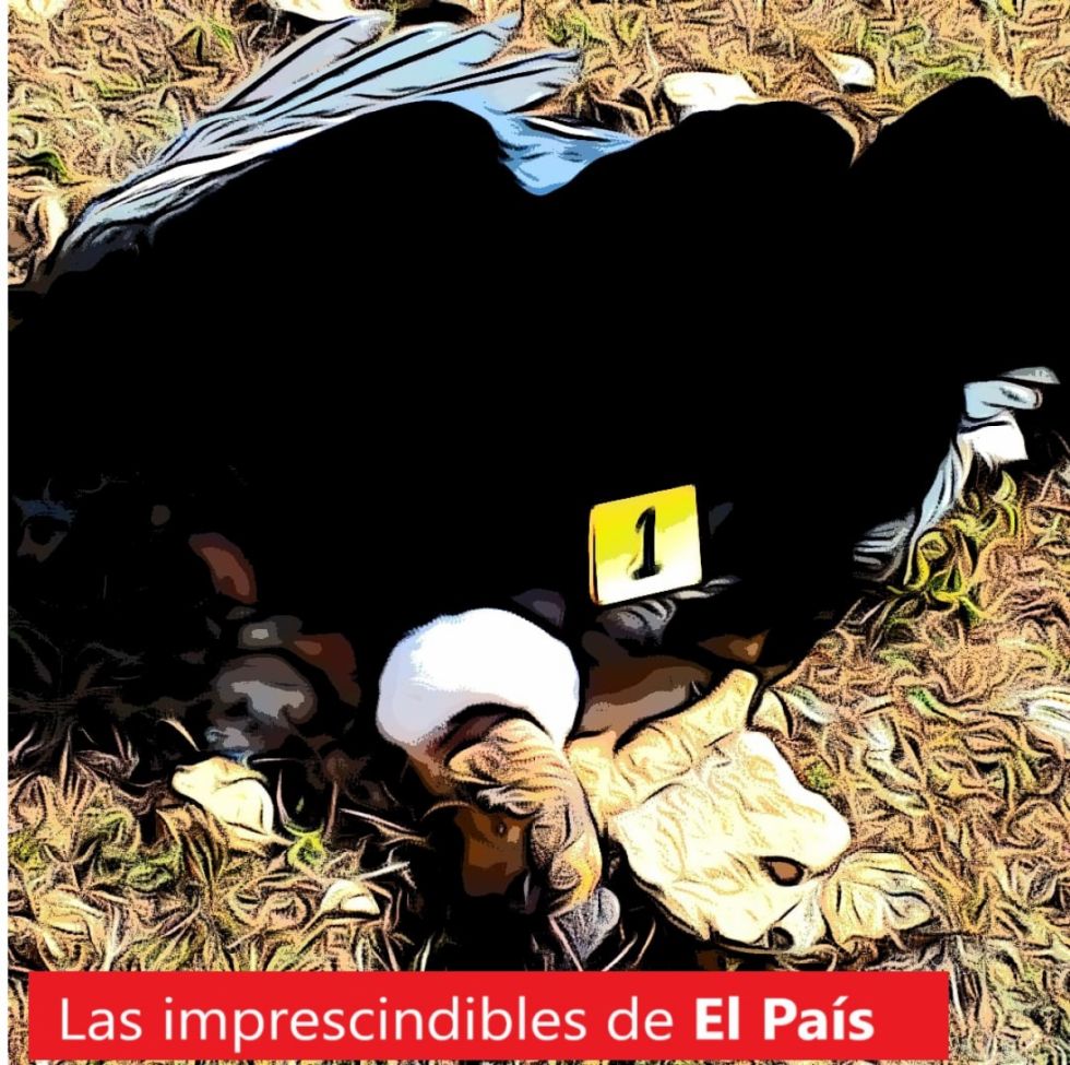Los cambios, la planta, los adioses: Lee las 5 imprescindibles de este viernes