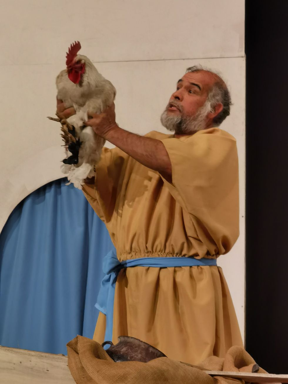 La asamblea del gallo