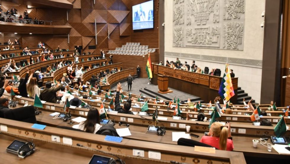 Diputada plantea recibir denuncias contra curas pederastas y formar una comisión legislativa para investigar estos casos