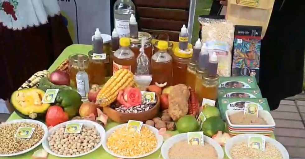 Este sábado se realiza la "14 Feria de Productos Ecológicos" en Tarija