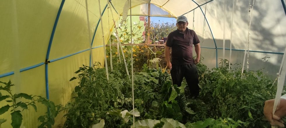 Tarija: La Alcaldía estableció 200 huertos urbanos 
