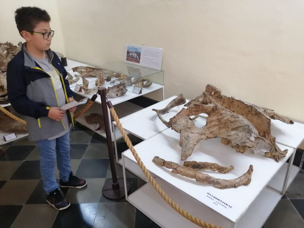 “Un primo del perezoso”, el nuevo hallazgo paleontológico en Tarija 