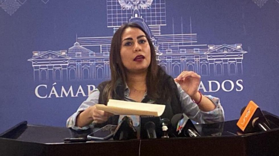Diputada: YLB oculta contrato con CBC para extraer litio