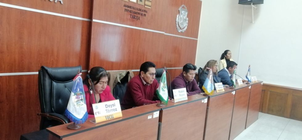 ALDT: Minorías arrinconan al MAS y a Unidos por la Directiva