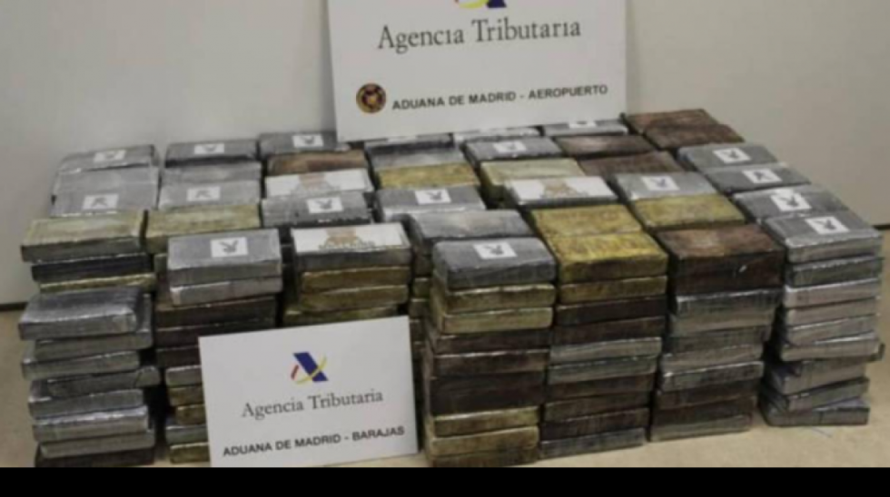 Droga incautada: Diputado CC pide investigar a Montaño por vínculos con el narcotráfico