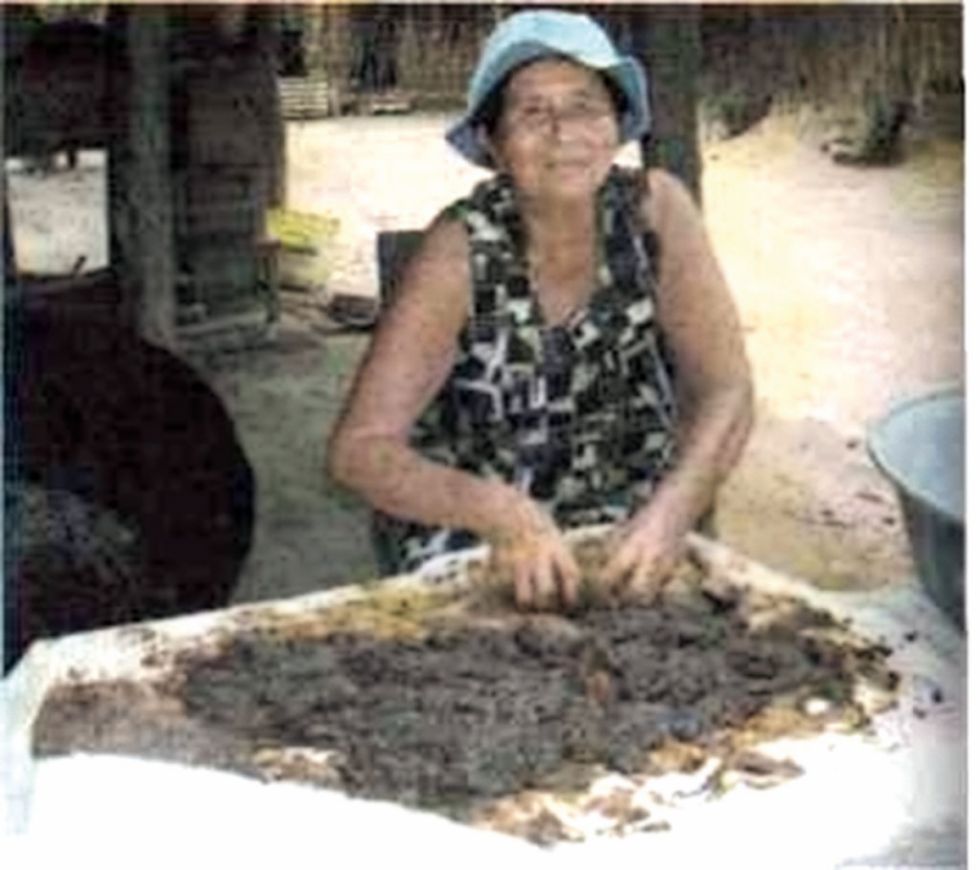 Otros  lejia Baure
