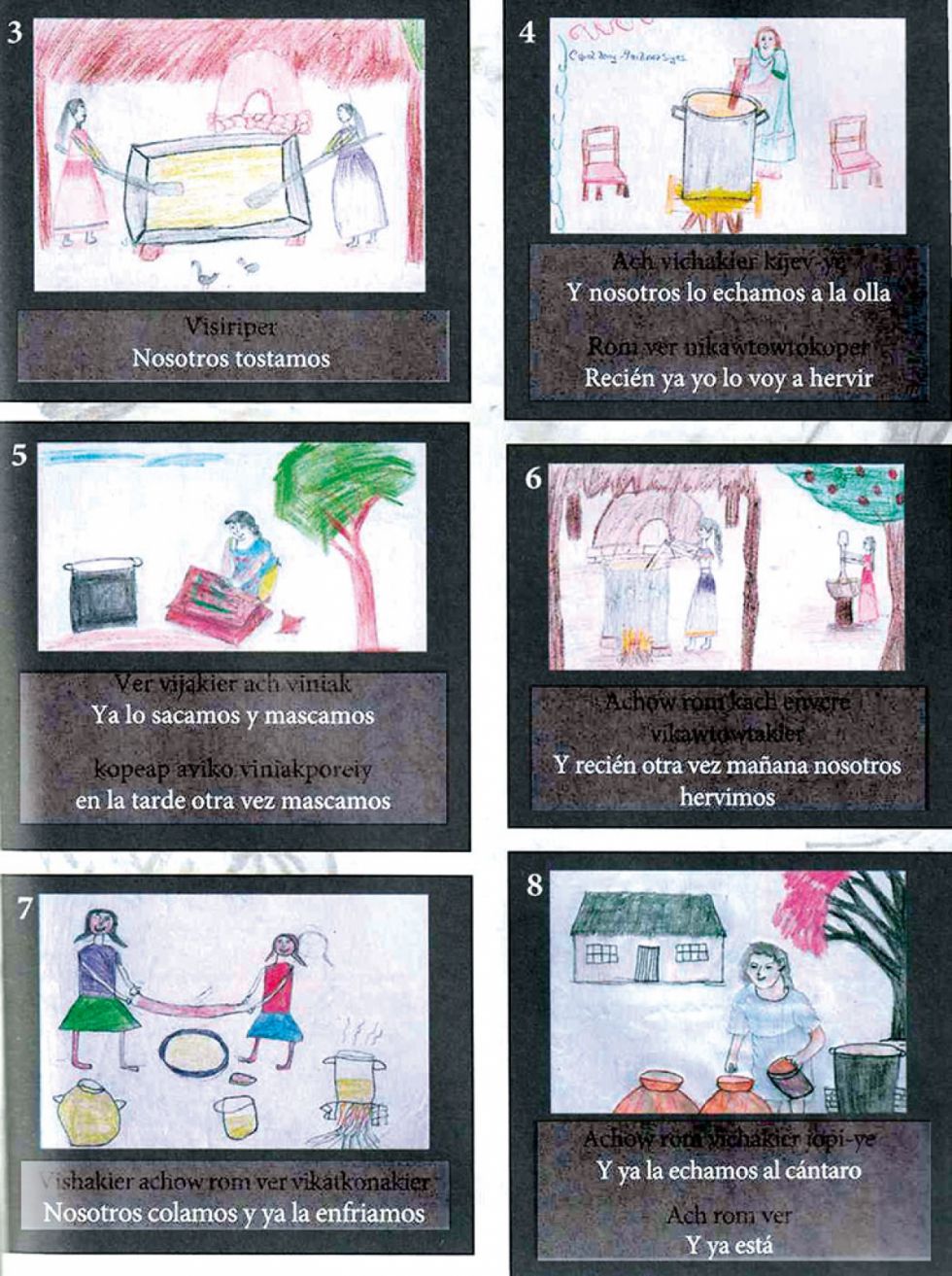 Alimentacion Baure 