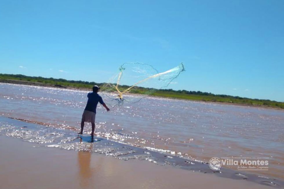 Desaparece el sábalo, sugieren veda de 3 años en el Pilcomayo