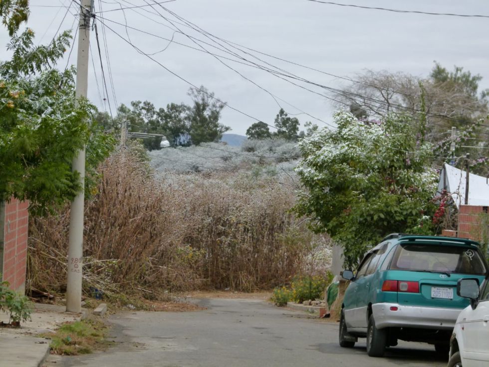 Tránsito cerró el tramo Pajchani en Tarija debido a las condiciones climáticas
