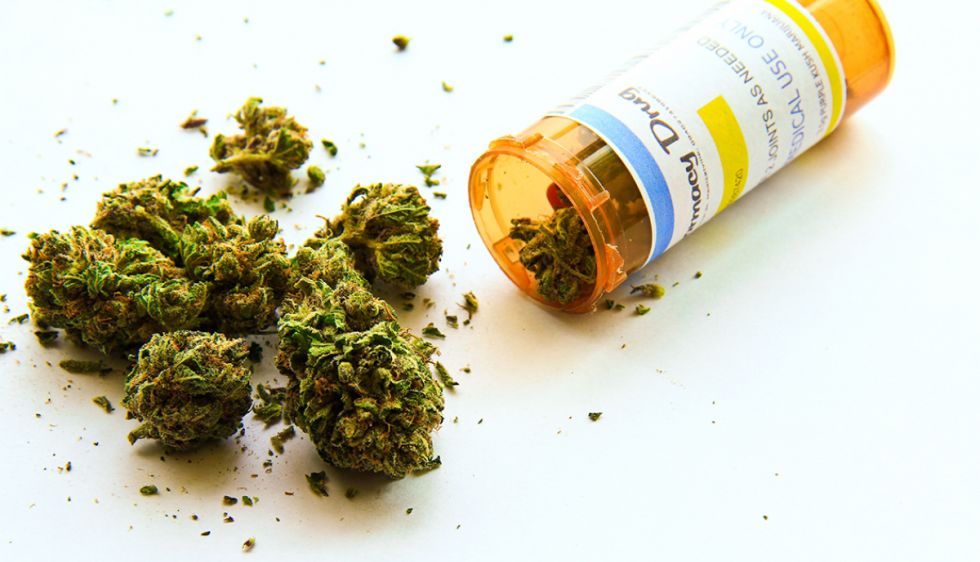 CC plantea la legalización de la marihuana en Bolivia