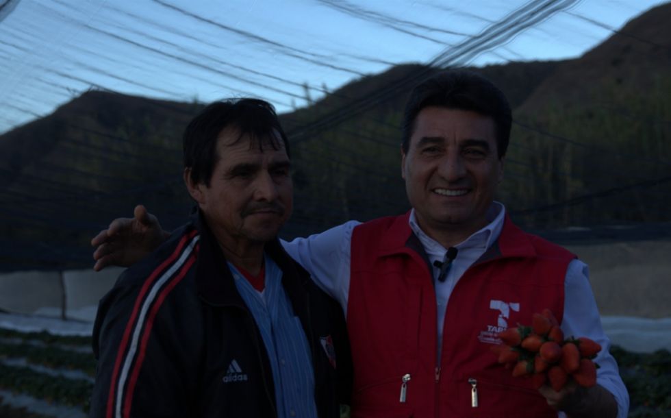 Torres: “La frutilla mueve 11 millones de bolivianos al año”