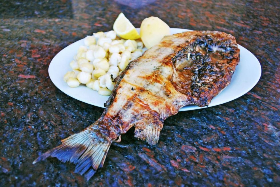 Invitan a la "Segunda Fiesta del Pescado y del Vino" en Tarija
