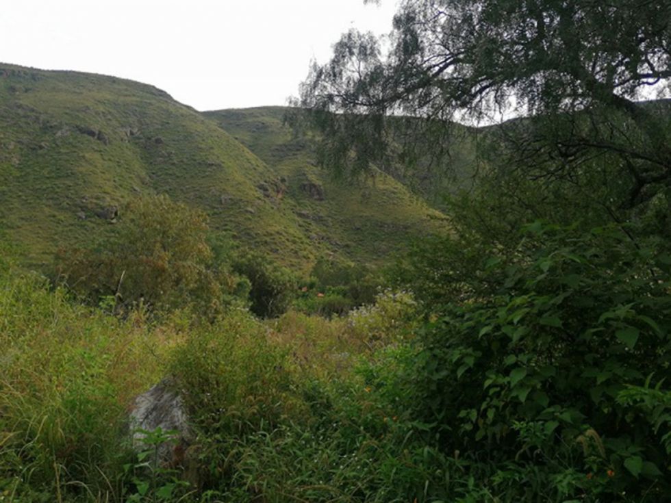 Paisajes de Tarija