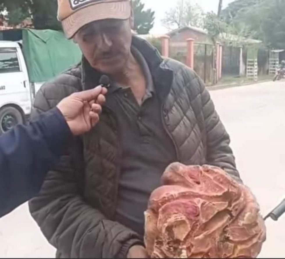 Productor de Caraparí cosecha camote de 8 kilos, una rareza natural (Video)