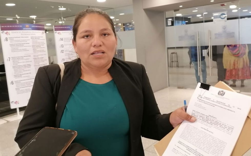 Diputada ‘renovadora’ señala que una medida cautelar del TCP podría frenar el Congreso del MAS