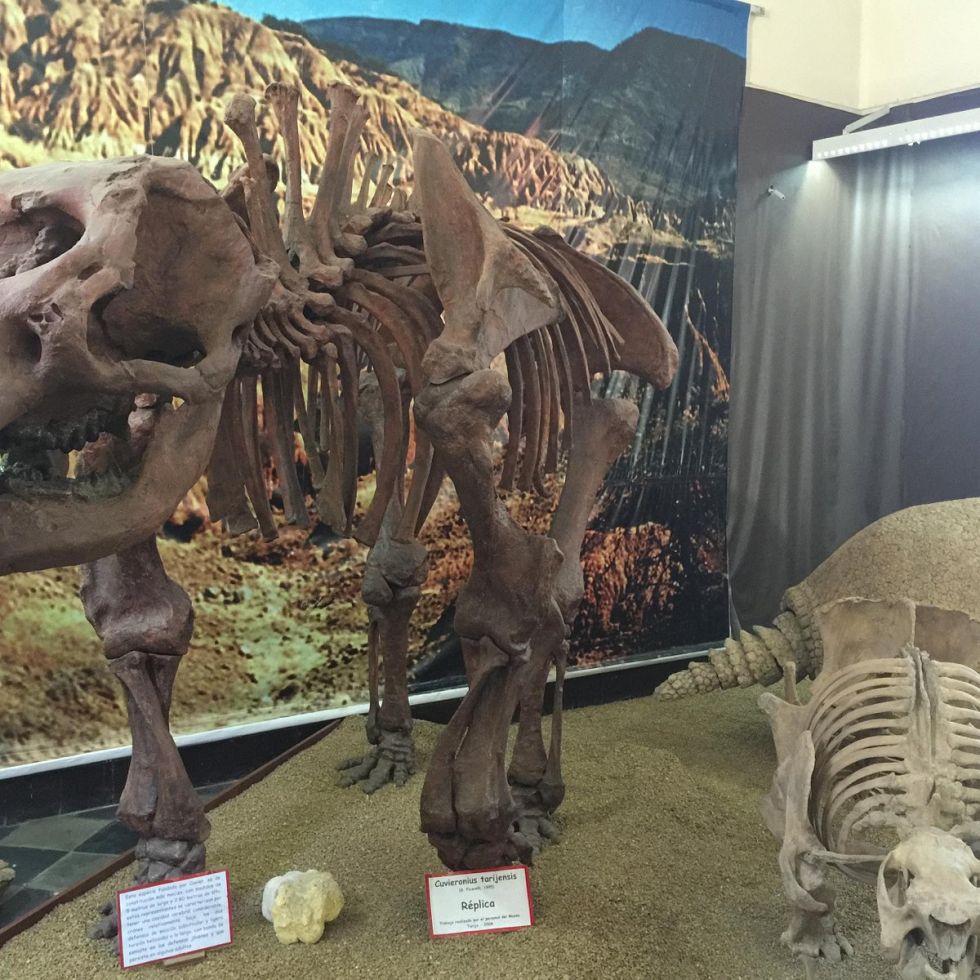 Proponen convertir la exTerminal en un nuevo museo Paleontológico para impulsar el turismo en Tarija