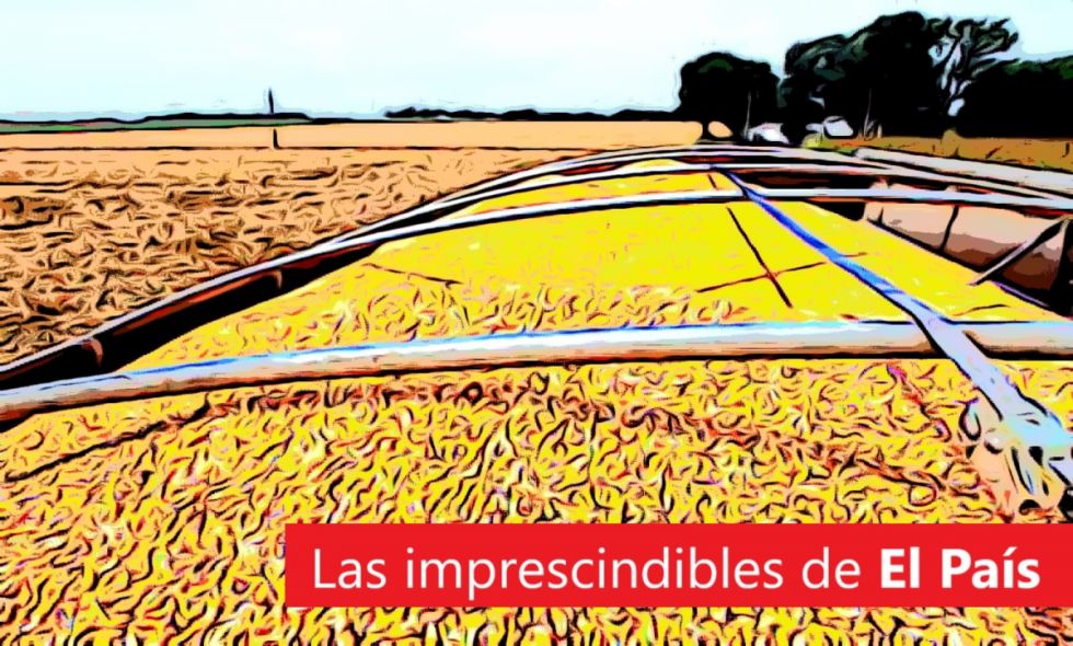 El precio del maíz, el SPA milagro, la localía del Siles... Lee las imprescindibles de este miércoles