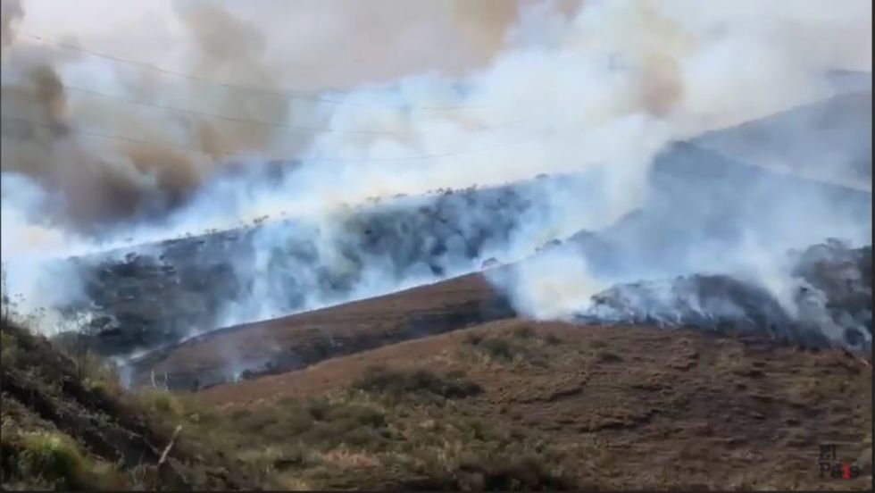 Incendio de magnitud en Pajchani moviliza a bomberos de Tarija (Videos)