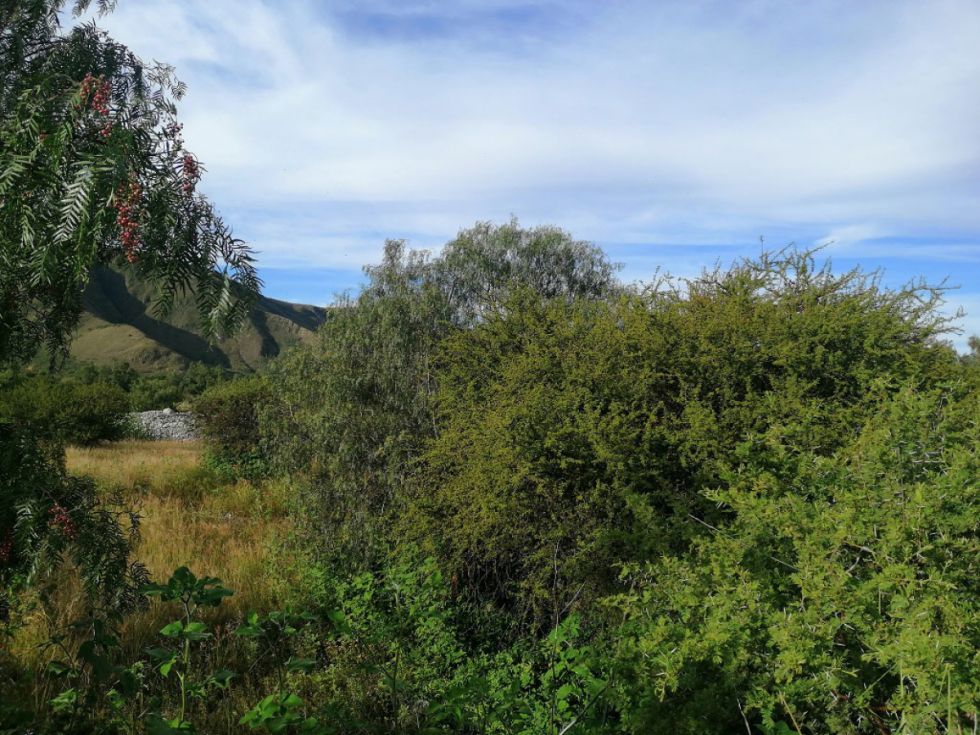 Vistas de Tarija
