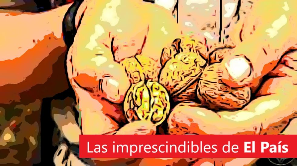 Vehículos, migrantes, el pulso libertario... Lee las imprescindibles de este lunes