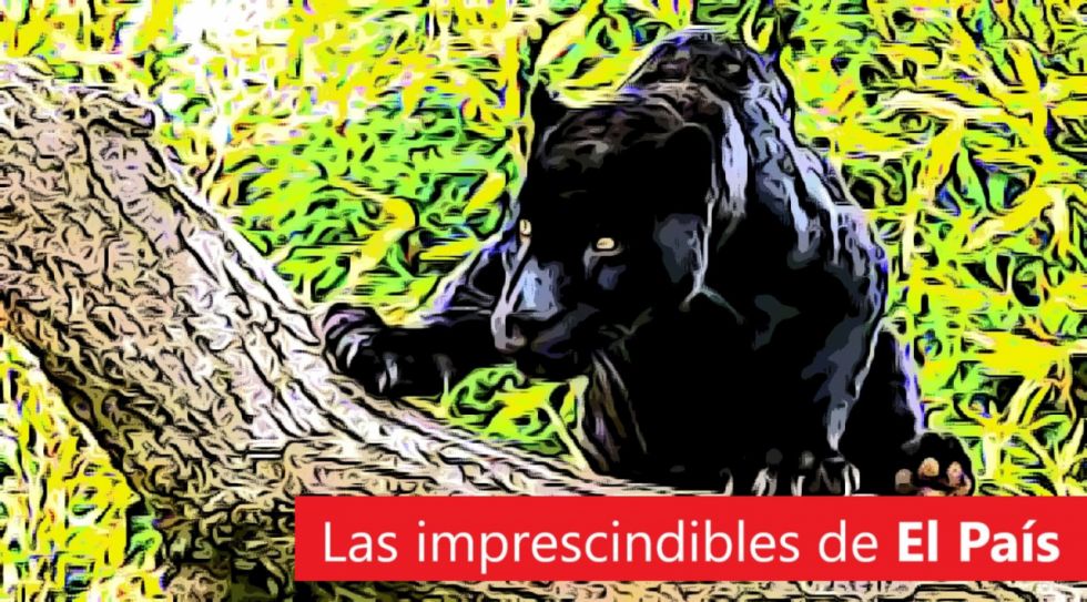 Tariquía, Tariquía, Tariquía: Lee las imprescindibles de este martes 18 de julio