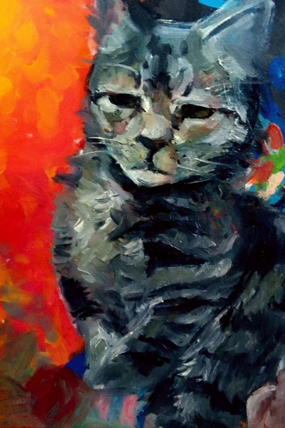 Gato