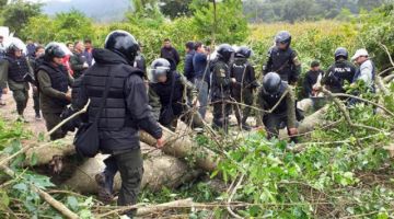 Carlos Mesa advierte sobre "intervención ilegal" en la Reserva de Tariquía