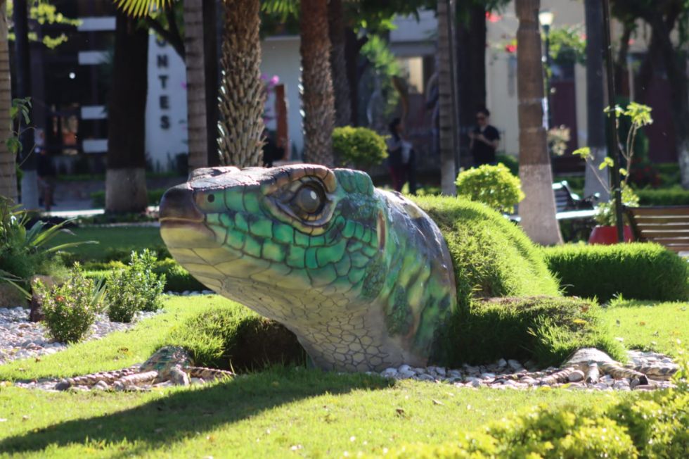Iguana villamontina.