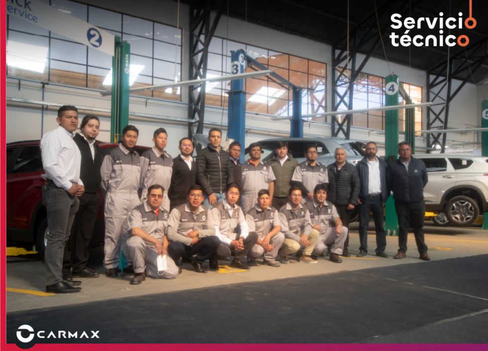 Servicio Técnico de Carmax