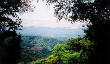 Montes: Ingresar a Tariquía no va a solucionar los problemas de hidrocarburos 