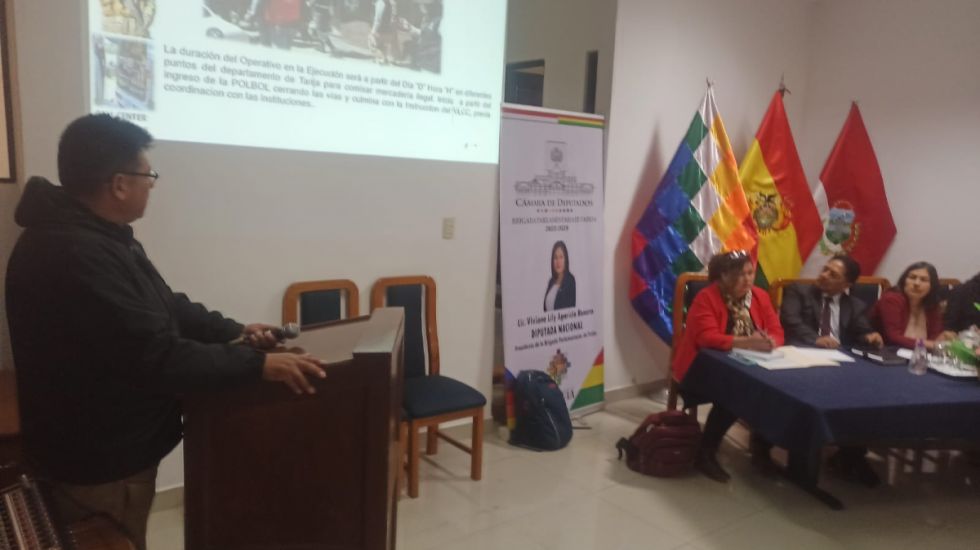 Diez instituciones forman Comité para hacer frente al contrabando