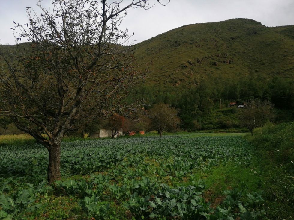 Paisajes